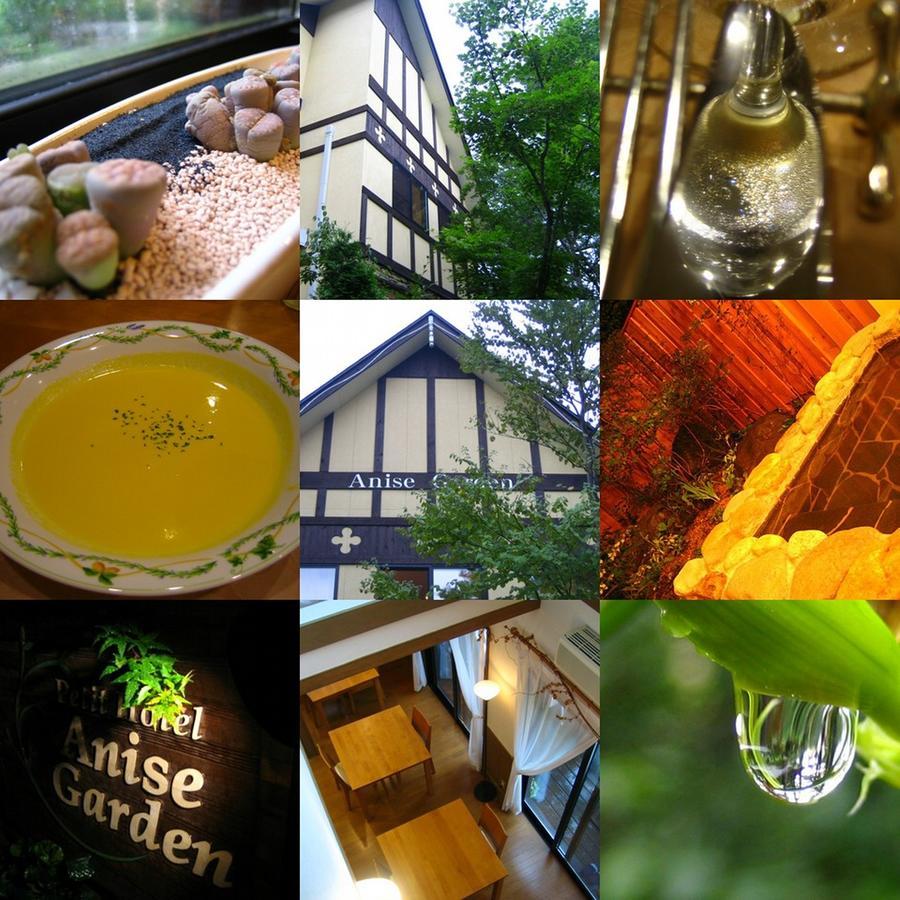 Anise Garden Hotel Hakuba Luaran gambar
