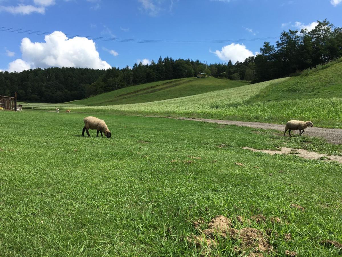 Anise Garden Hotel Hakuba Luaran gambar